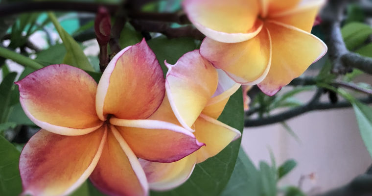 #1 コーチングを学んで